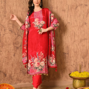 Raani Rouge Mirror Work Silk Suit Set